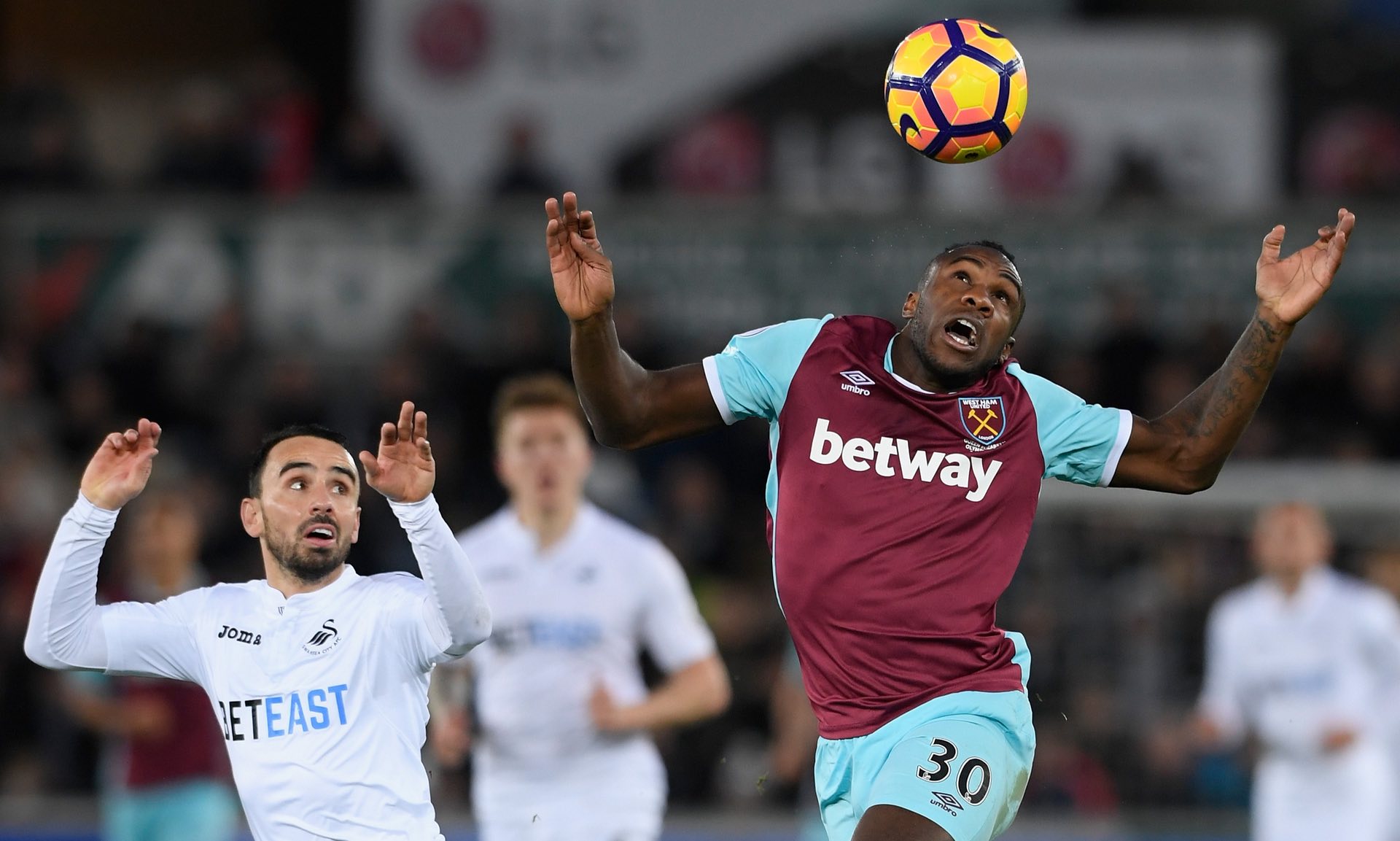 瞩目的新星 瞩目的新星